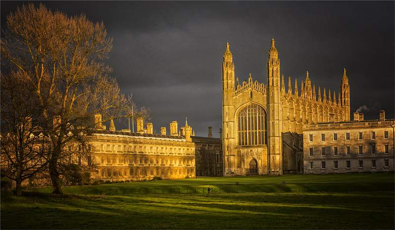 The Punter_David Peek.jpg - Exhibition PDI